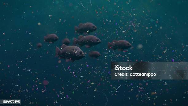 Fish Swarm Swimming Through Plastic Pollution Micro Plastic Particles In Ocean Water Stock Photo - Download Image Now
