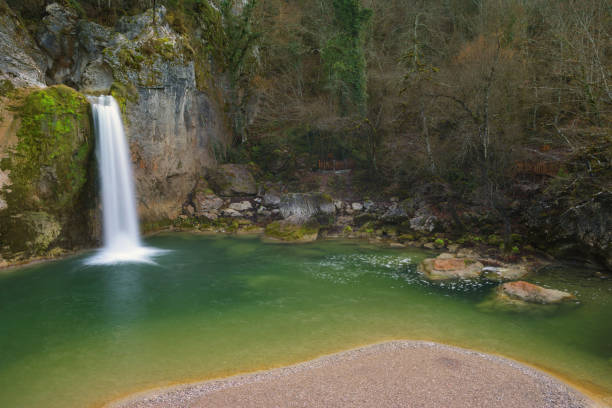 자연의 폭포 - stream forest waterfall zen like 뉴스 사진 이미지