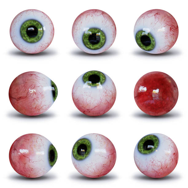 set of human eyeballs with green iris isolated with shadow on white background (3d illustration) group of googly eye balls, cutout on white ground german iris stock pictures, royalty-free photos & images