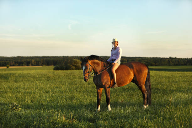 istock Young lady with hat on brown horse without saddle on meadow 1184976343