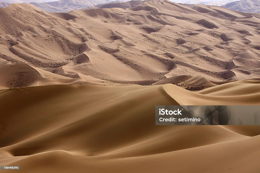 Desierto - Foto de stock de Aire libre libre de derechos