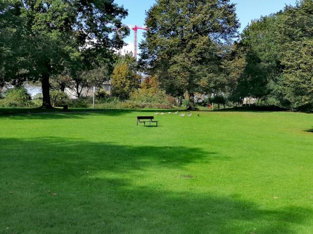 istock Bench on green grass in the city park 1184984800