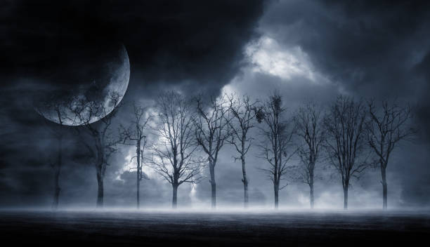 istock 3D rendering abstract dark forest. Gloomy dark scene with trees, big moon, moonlight. Smoke, shadow. Abstract dark, cold street background. Night view. 1184984923