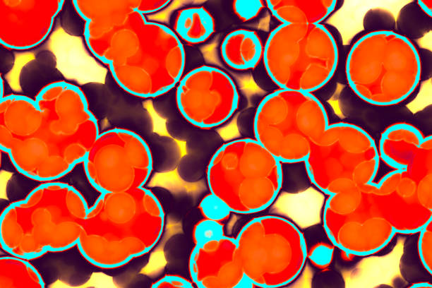 istock Shape of bacterial cell: cocci, bacilli, spirilla bacteria 1184986702