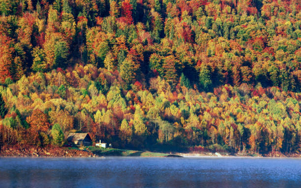 istock the mountain autumn landscape with colorful forest 1185002109