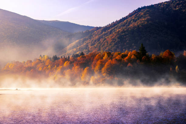 istock the mountain autumn landscape with colorful forest 1185002110