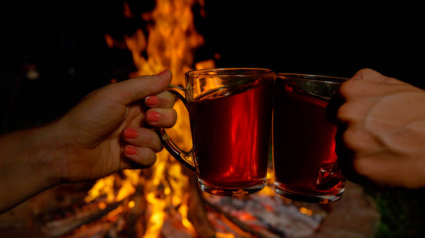 istock MACRO, DOF: Unrecognizable young campers toast with warm tea over a campfire. 1185002345