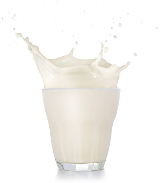 splashing milk isolated on white stock photo