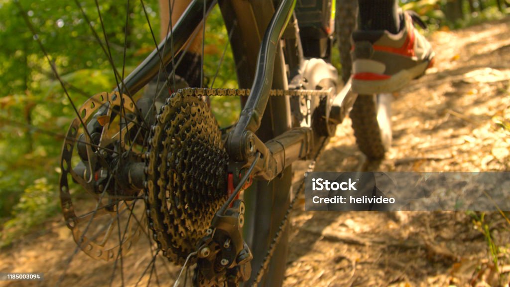 CLOSE UP: Detailed view of the rear wheel of bike as man pedals through woods CLOSE UP, DOF: Detailed view of the rear wheel and brakes of a mountain bicycle as the young man pedals through the sunlit woods. Following a male cyclist riding his ebike along the forest trail. Adult Stock Photo