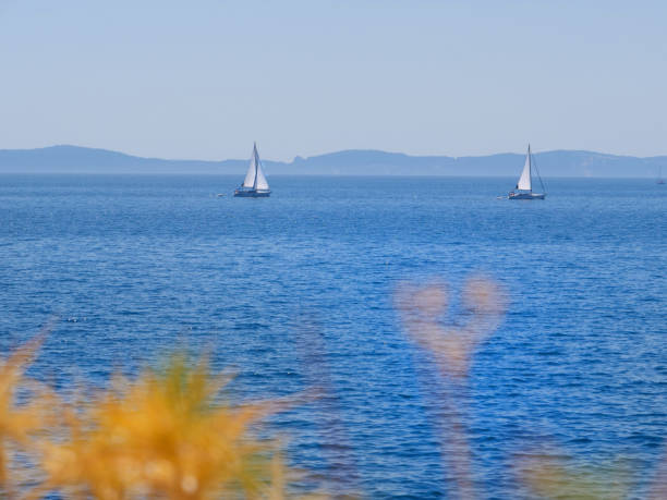 istock AERIAL: Flying towards two sailboats exploring the tranquil waters in Greece. 1185004382