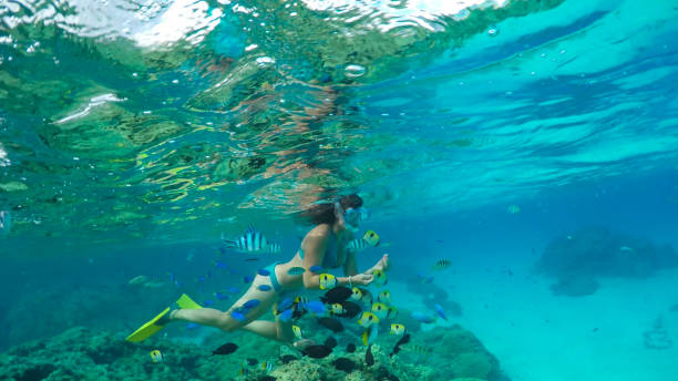 istock UNDERWATER: Young woman in blue interacting with colorful fish while snorkelling 1185004461