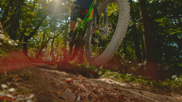 istock BOTTOM UP: Sunbeams shine on the mountain biker as he rides through forest. 1185004481