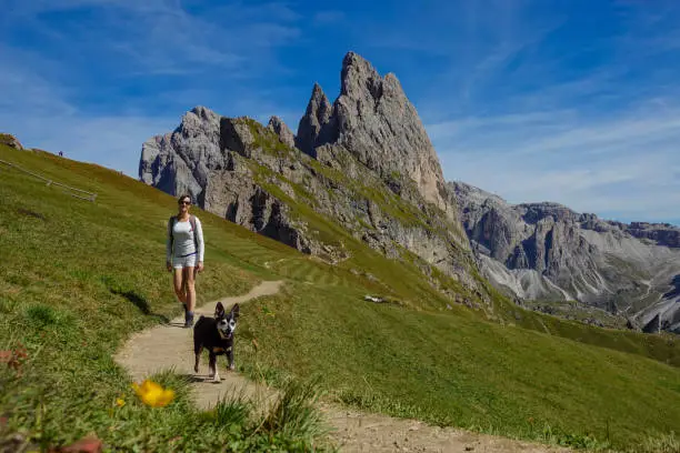 Happy Caucasian woman hiking along a narrow path with her adorable miniature pinscher. Carefree female tourist enjoying a walk with her senior dog high in the picturesque Dolomites. Cheerful friends.