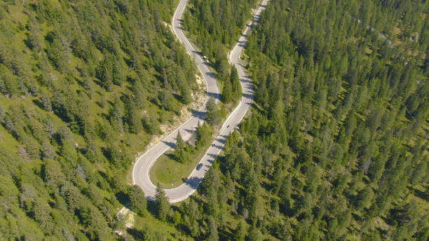 istock AERIAL: Flying above a hairpin turn running through the dense spruce forest. 1185006073