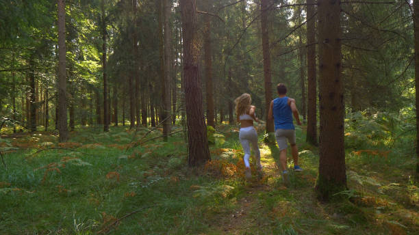 istock CLOSE UP: Bright spring sunshine illuminates the forest path for trail runners. 1185008395