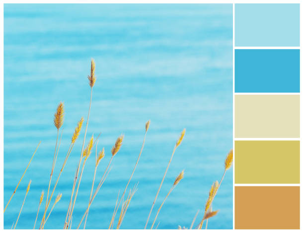 istock Summer sea colour palette. 1185010104