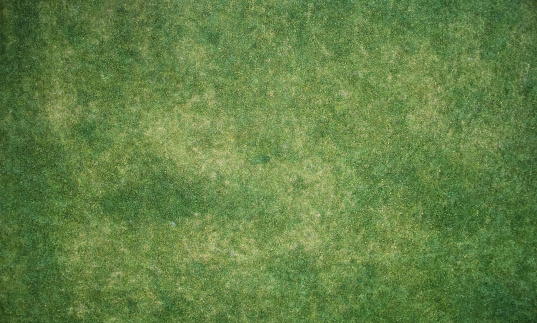 Green grass meadow texture above top view with different color spots