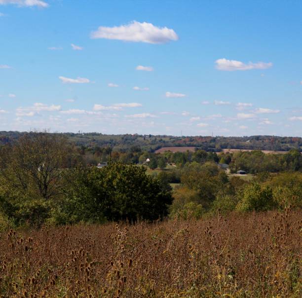 istock Valley in the Countryside 1185011617