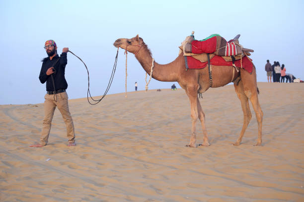 cameleer anda com camelo no rajastão - camel ride - fotografias e filmes do acervo