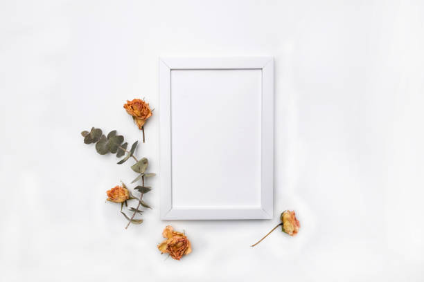 istock Dried flowers composition. Frame made of dried rose. Flat lay, top view Autumn floral pattern 1185013777