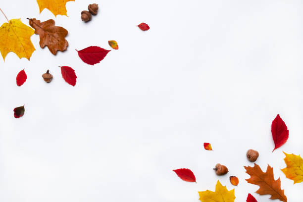 istock Autumn border made of  fall leaves on white background. Flat lay, top view. Copy space for seasonal promotions and discounts. 1185013904