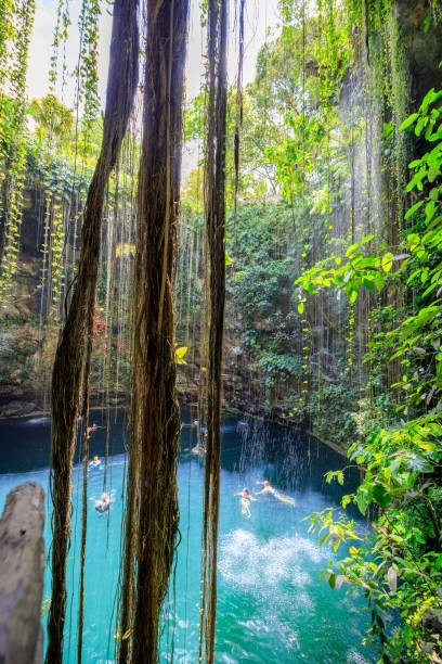 istock Amazing Ik-Kil Cenote near Chichen Itza, Mexico 1185015745