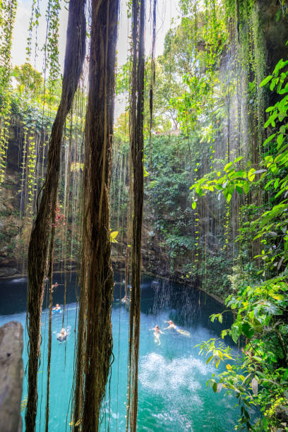 istock Amazing Ik-Kil Cenote near Chichen Itza, Mexico 1185016062