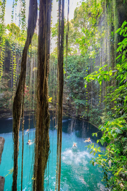 istock Amazing Ik-Kil Cenote near Chichen Itza, Mexico 1185016201