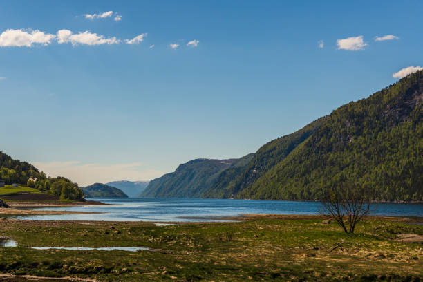 istock spring landscapes on the way from Alsund to Trondheim, Norway 1185017981