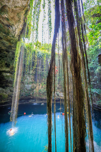 istock Amazing Ik-Kil Cenote near Chichen Itza, Mexico 1185018169
