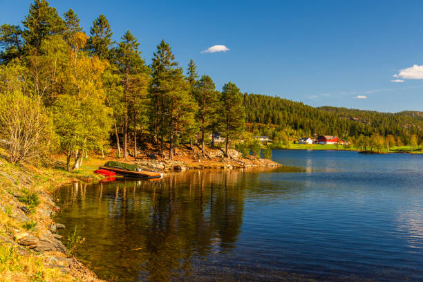 istock spring landscapes on the way from Alsund to Trondheim, Norway 1185018373