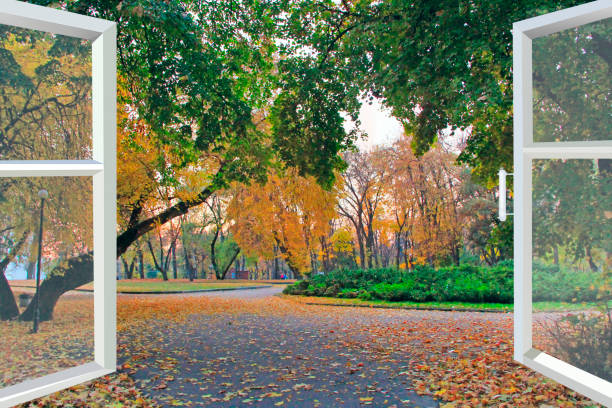 panoramic window in room with view to autumnal park. Window opened to autumn park with green yellow trees and fallen leaves