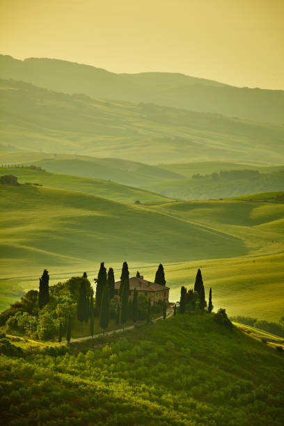 istock Tuscany hills 1185021460