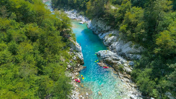 istock AERIAL: Flying towards a group of tourists whitewater rafting on emerald river. 1185023583