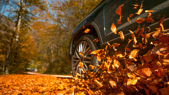 LOW ANGLE: Large 4x4 vehicle drives along a road full of brown fallen leaves.