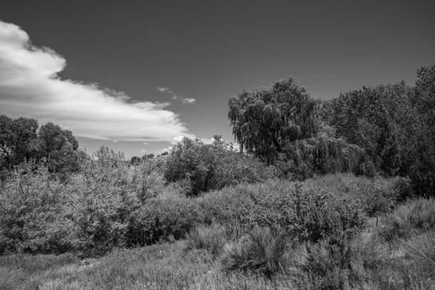 One of the oldest ranches in New Mexico