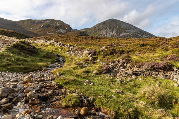 ściana skalna, roślinność i strumień na górze croagh patrick - croagh patrick zdjęcia i obrazy z banku zdjęć