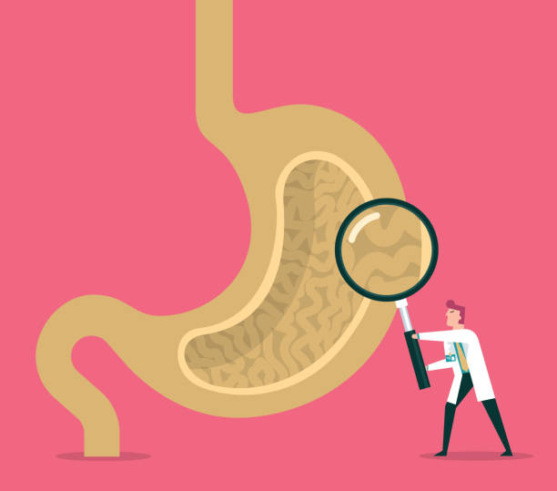ludzki żołądek - mucosa stock illustrations
