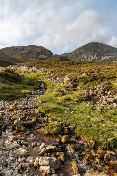 istock Rock wall, vegetation and stream at Croagh Patrick mountain 1185025505