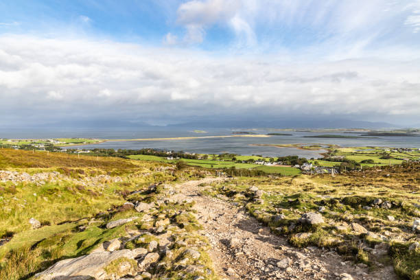 istock Rocks and vegetation at Croagh Patrick mountain with Westport in background 1185025587