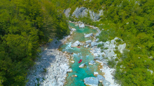 istock AERIAL: Tourists on kayaking and rafting trip float around the emerald river. 1185026459