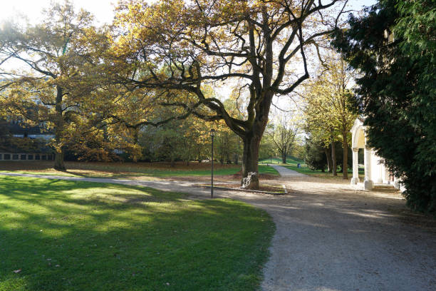 istock Well laid out path through a park invites you to go for a walk 1185026841