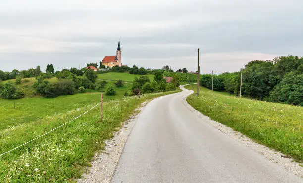 Summer rural landscape with vineyards and Parish Church of St. Peter near Maribor, Slovenia.