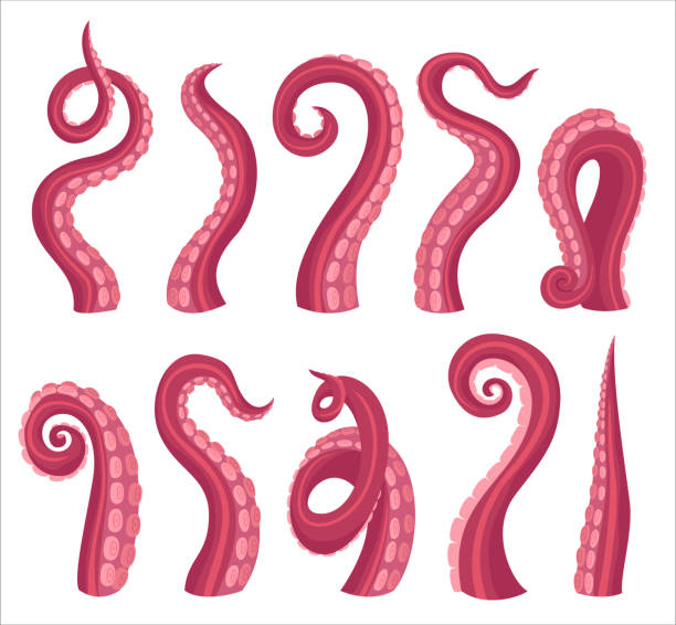 illustrazioni stock, clip art, cartoni animati e icone di tendenza di set di illustrazioni vettoriali a colori dei tentacoli del polpo - tentacle