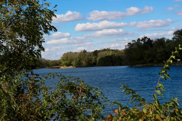 istock Flowing River over Bushes 1185030318