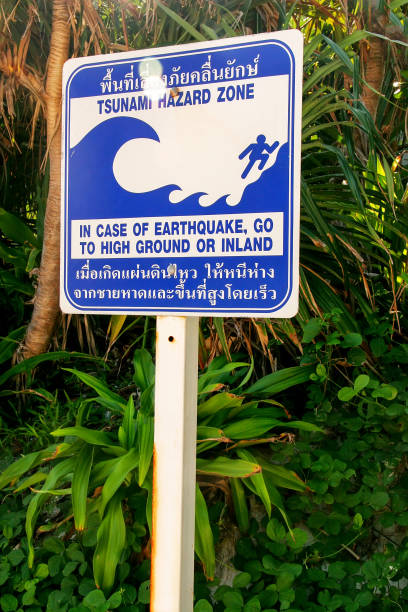 istock Tsunami hazard zone sign on Phi Phi Leh Island, Krabi province, Thailand 1185031240