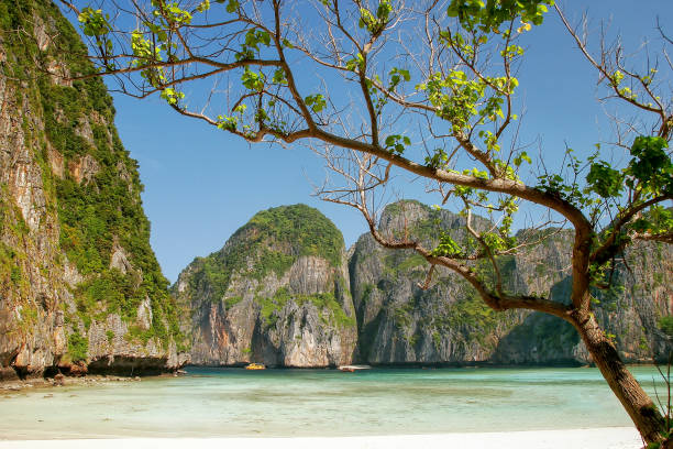 istock Maya Bay on Phi Phi Leh Island, Krabi Province, Thailand 1185031656