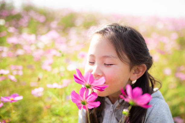 chica jugando en el campo del cosmos - smell fotografías e imágenes de stock