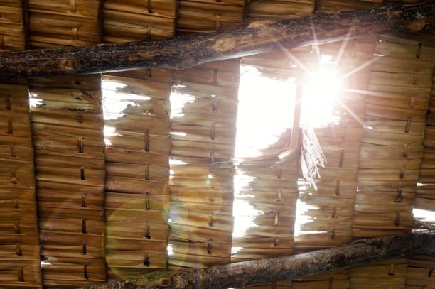 Thatched roof,low angle view.
Close up of grunge palm thatch pieces in a row with sunray and flare shining through. Close up of grunge palm thatch pieces in a row with sun ray  and flare shining through.
Thatched roof ,low angle view. straw roof stock pictures, royalty-free photos & images