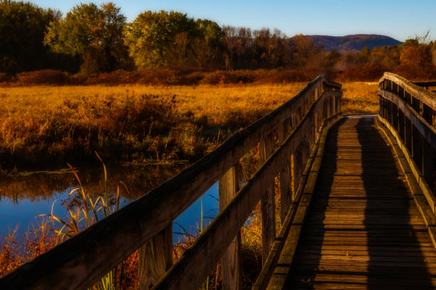 Peaceful morning in Wawayanda state park. Stairway to heaven is 2.9 miles long hiking trail via Appalachian trail located near Vernon, New Jersey. The Appalachian trail is the longest hiking only footpath in the word, ranging from Maine to Georgia